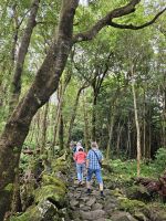 Wanderung zum Poço da Alagoinha &ndash; &copy; Kathrin Becker (Eberhardt TRAVEL)