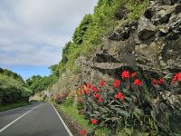 Rundfahrt Flores &ndash; &copy; Kathrin Becker (Eberhardt TRAVEL)