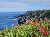 Flores &ndash; &copy; Kathrin Becker (Eberhardt TRAVEL)