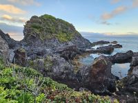 Flores &ndash; &copy; Kathrin Becker (Eberhardt TRAVEL)