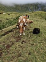 Kraterwanderung &ndash; &copy; Kathrin Becker (Eberhardt TRAVEL)