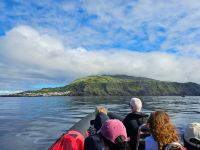 Fahrt von Flores nach Covo &ndash; &copy; Kathrin Becker (Eberhardt TRAVEL)