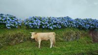 &copy; Kathrin Becker (Eberhardt TRAVEL)