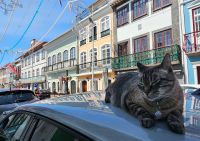 Angra do Heroismo &ndash; &copy; Kathrin Becker (Eberhardt TRAVEL)