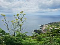 Aussicht auf ein Dorf in Graciosa &ndash; &copy; Kathrin Becker (Eberhardt TRAVEL)