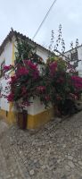 Obidos (1) &ndash; &copy; Marcus Hasselhorst (Eberhardt TRAVEL)