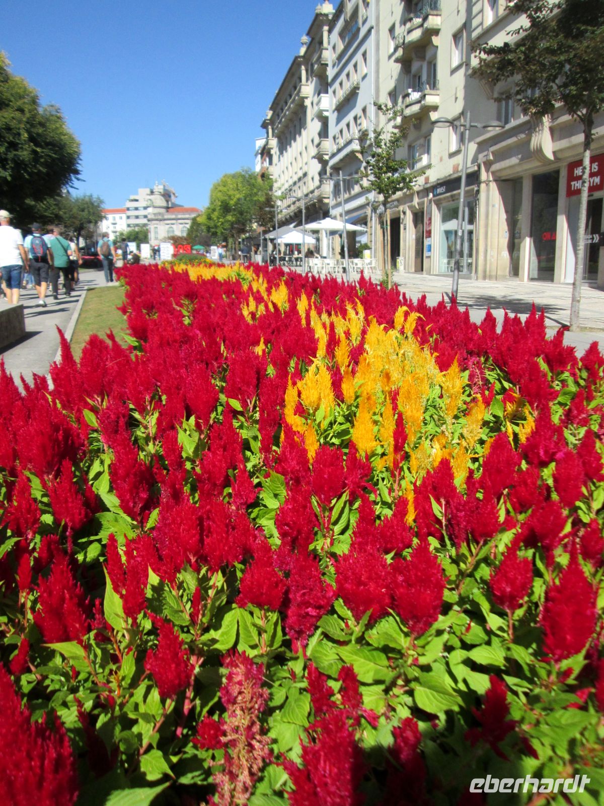 Braga &ndash; &copy; Heike Heinen (Eberhardt TRAVEL)
