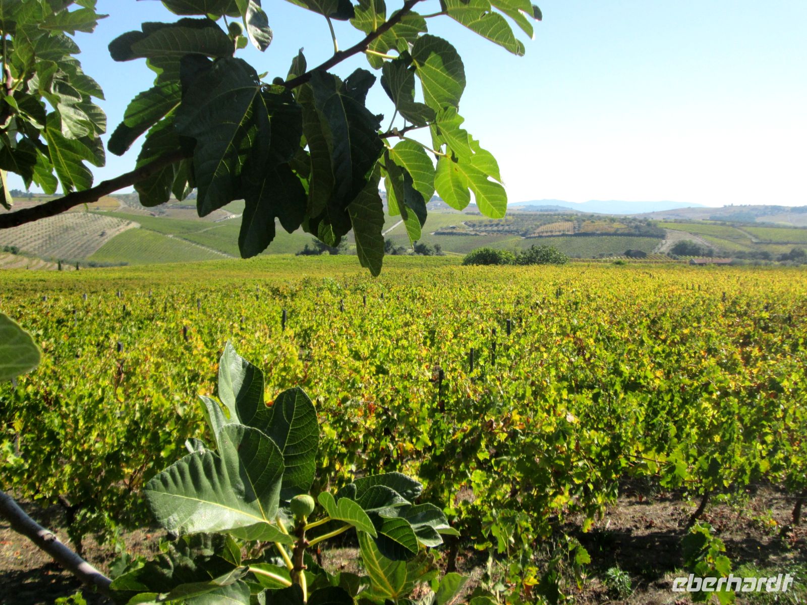 Quinta da Avessada &ndash; &copy; Heike Heinen (Eberhardt TRAVEL)