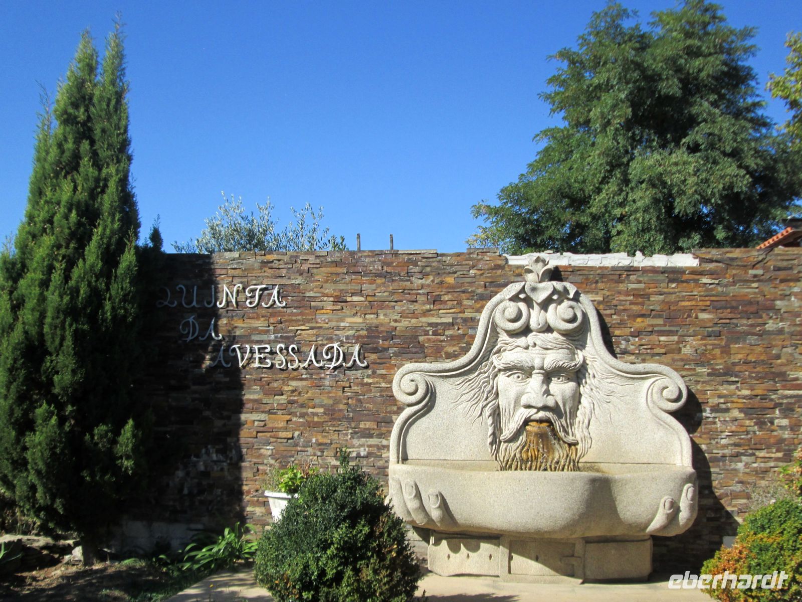 im Weingut 