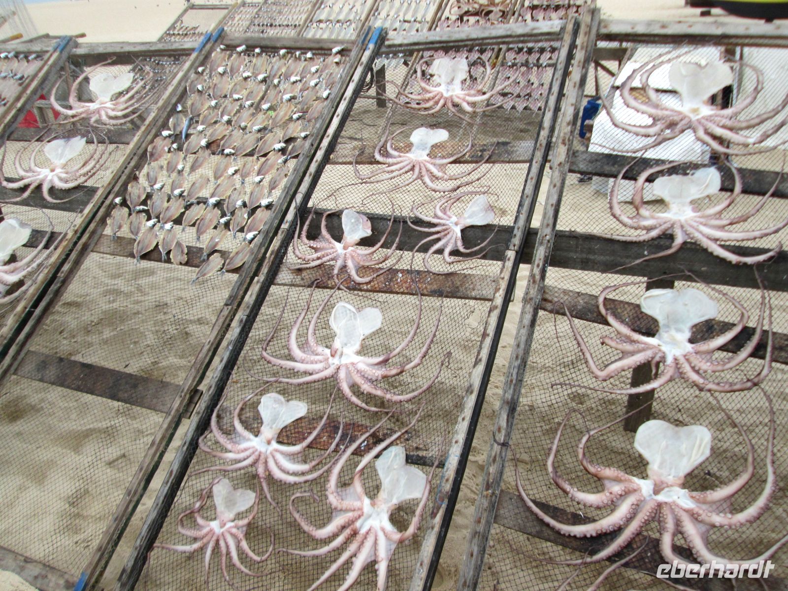 getrocknete Calamari &ndash; &copy; Heike Heinen (Eberhardt TRAVEL)