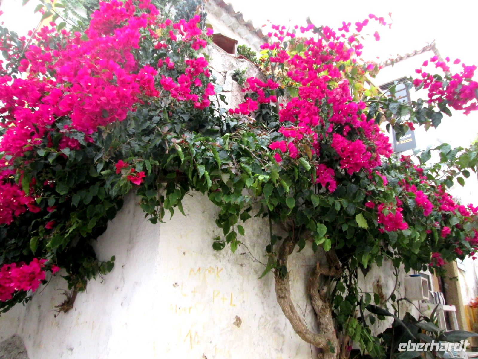 Óbidos  &ndash; &copy; Heike Heinen (Eberhardt TRAVEL)