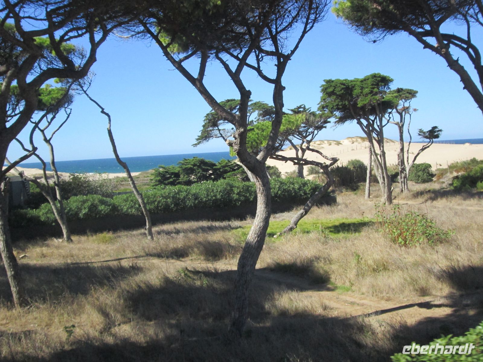 Dünenlandschaft bei Cascais &ndash; &copy; Heike Heinen (Eberhardt TRAVEL)