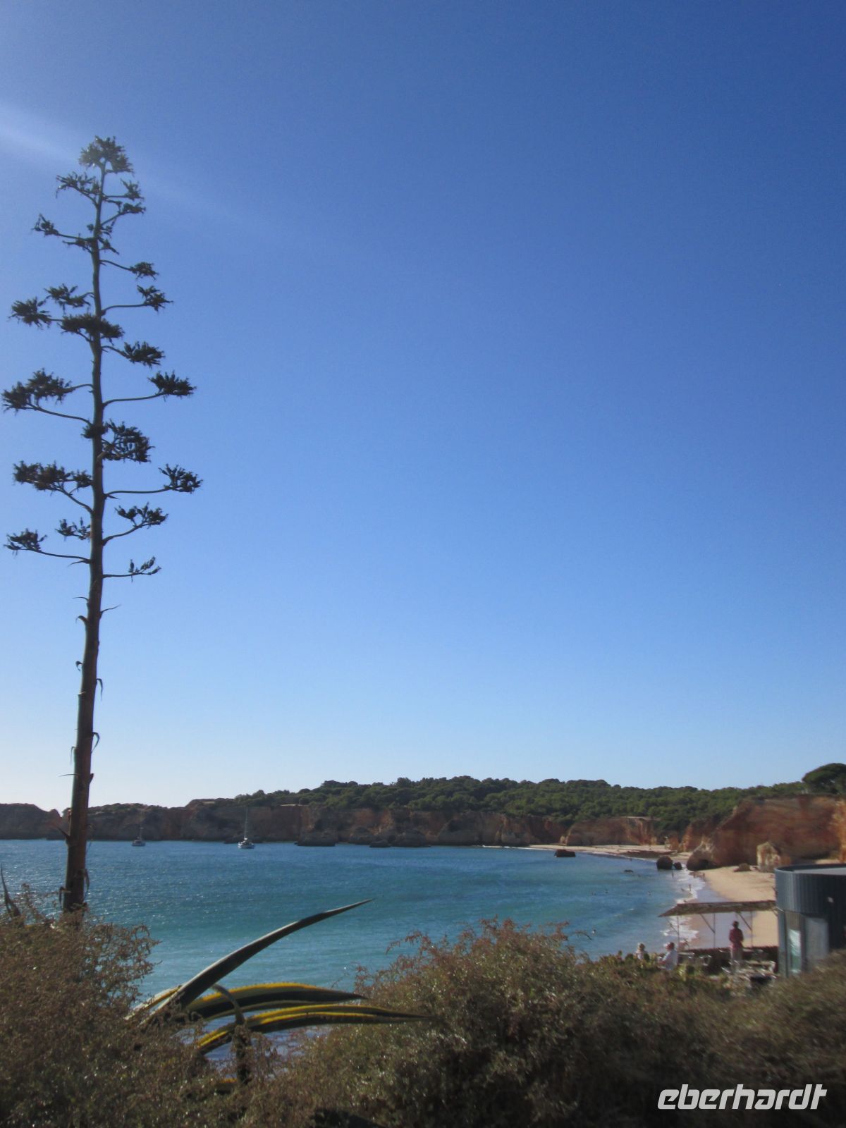 Agave und Praia do Vau &ndash; &copy; Heike Heinen (Eberhardt TRAVEL)