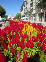 Braga &ndash; &copy; Heike Heinen (Eberhardt TRAVEL)