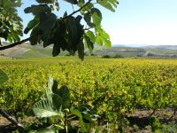 Quinta da Avessada &ndash; &copy; Heike Heinen (Eberhardt TRAVEL)
