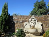 im Weingut 