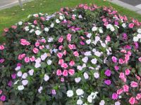 in Viseu &ndash; &copy; Heike Heinen (Eberhardt TRAVEL)