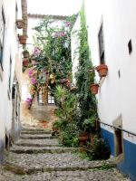 Óbidos  &ndash; &copy; Heike Heinen (Eberhardt TRAVEL)