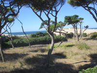 Dünenlandschaft bei Cascais &ndash; &copy; Heike Heinen (Eberhardt TRAVEL)