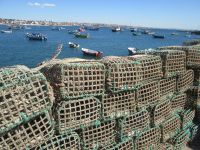 Reusen in Cascais &ndash; &copy; Heike Heinen (Eberhardt TRAVEL)