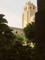 Évora: Kathedrale &ndash; &copy; Heike Heinen (Eberhardt TRAVEL)