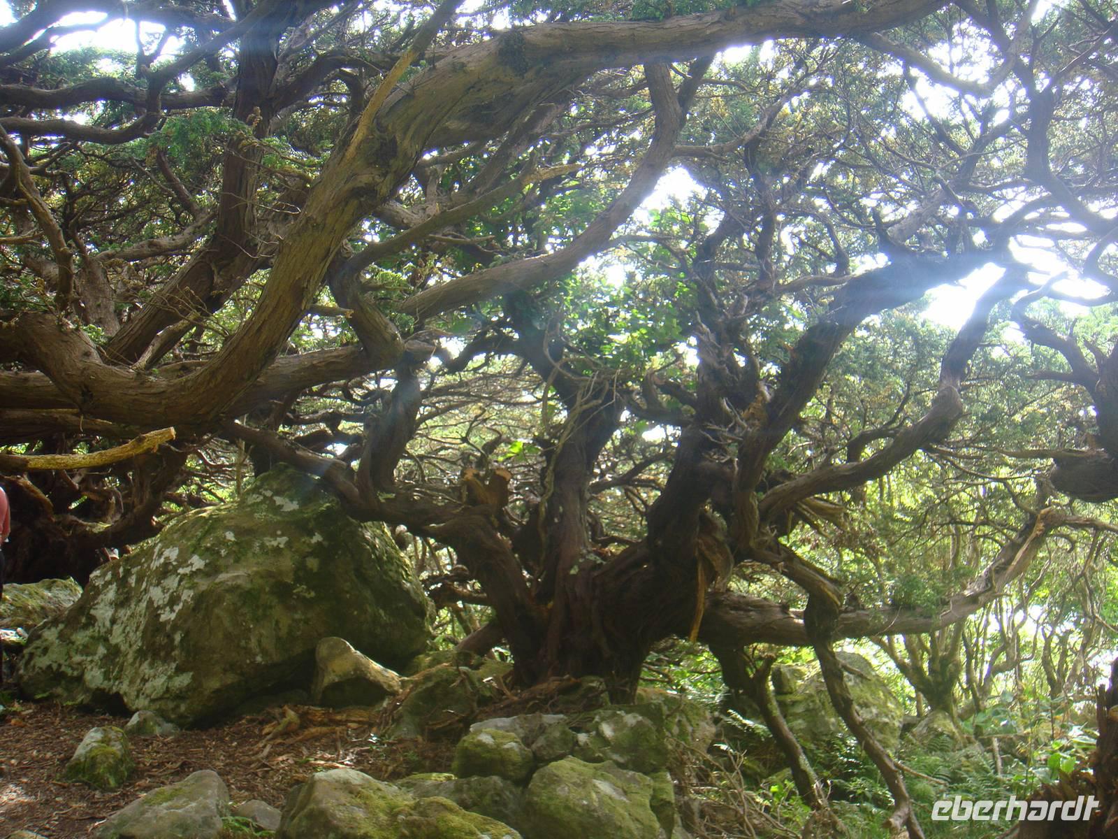 Insel Flores &ndash; &copy; Astrid Janke (Eberhardt TRAVEL)