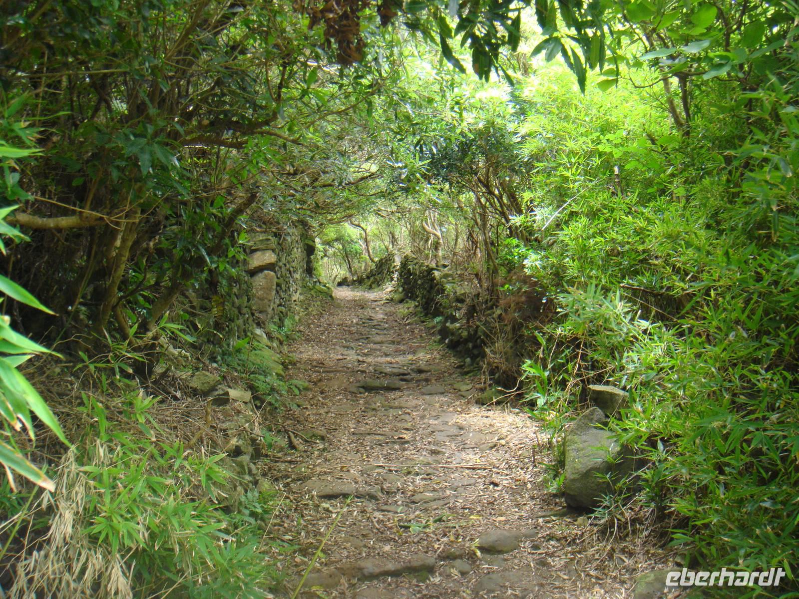 Sao Jorge &ndash; &copy; Astrid Janke (Eberhardt TRAVEL)