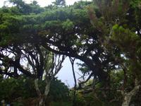 Insel Flores &ndash; &copy; Astrid Janke (Eberhardt TRAVEL)
