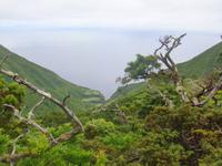 Sao Jorge &ndash; &copy; Astrid Janke (Eberhardt TRAVEL)