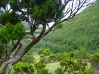 Sao Jorge &ndash; &copy; Astrid Janke (Eberhardt TRAVEL)