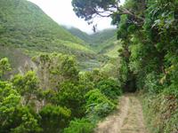 Sao Jorge &ndash; &copy; Astrid Janke (Eberhardt TRAVEL)