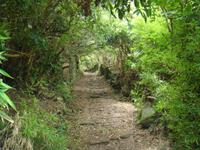 Sao Jorge &ndash; &copy; Astrid Janke (Eberhardt TRAVEL)