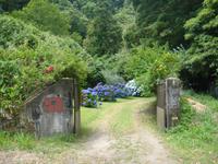 HortensienZauber &ndash; &copy; Astrid Janke (Eberhardt TRAVEL)