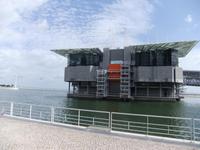 das Oceanário de Lisboa &ndash; &copy; Aline K. (Eberhardt TRAVEL)