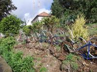 Zaungestaltung eines Madeirenser Gartens &ndash; &copy; Aline K. (Eberhardt TRAVEL)
