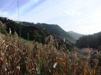 2. Wanderung entlang der Levada do Caniçal &ndash; &copy; Aline K. (Eberhardt TRAVEL)