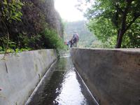 2. Wanderung entlang der Levada do Caniçal &ndash; &copy; Aline K. (Eberhardt TRAVEL)