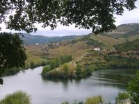 Auf dem Weingut 