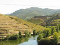 Dourotal &ndash; &copy; Julia Grunwald (Eberhardt TRAVEL)