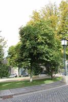 in Guimarães &ndash; &copy; Sylvia Ott (Eberhardt TRAVEL)