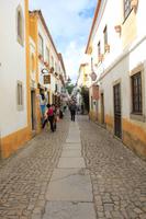 in Óbidos &ndash; &copy; Sylvia Ott (Eberhardt TRAVEL)