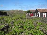 &copy; Nicole Niendorf (Eberhardt TRAVEL)