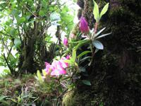 &copy; Nicole Niendorf (Eberhardt TRAVEL)