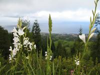 &copy; Nicole Niendorf (Eberhardt TRAVEL)