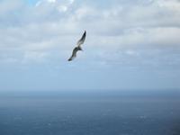 &copy; Nicole Niendorf (Eberhardt TRAVEL)
