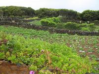 &copy; Nicole Niendorf (Eberhardt TRAVEL)