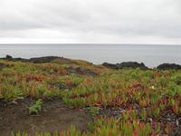 &copy; Nicole Niendorf (Eberhardt TRAVEL)