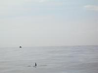&copy; Nicole Niendorf (Eberhardt TRAVEL)