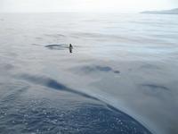 &copy; Nicole Niendorf (Eberhardt TRAVEL)