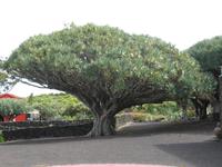 &copy; Nicole Niendorf (Eberhardt TRAVEL)